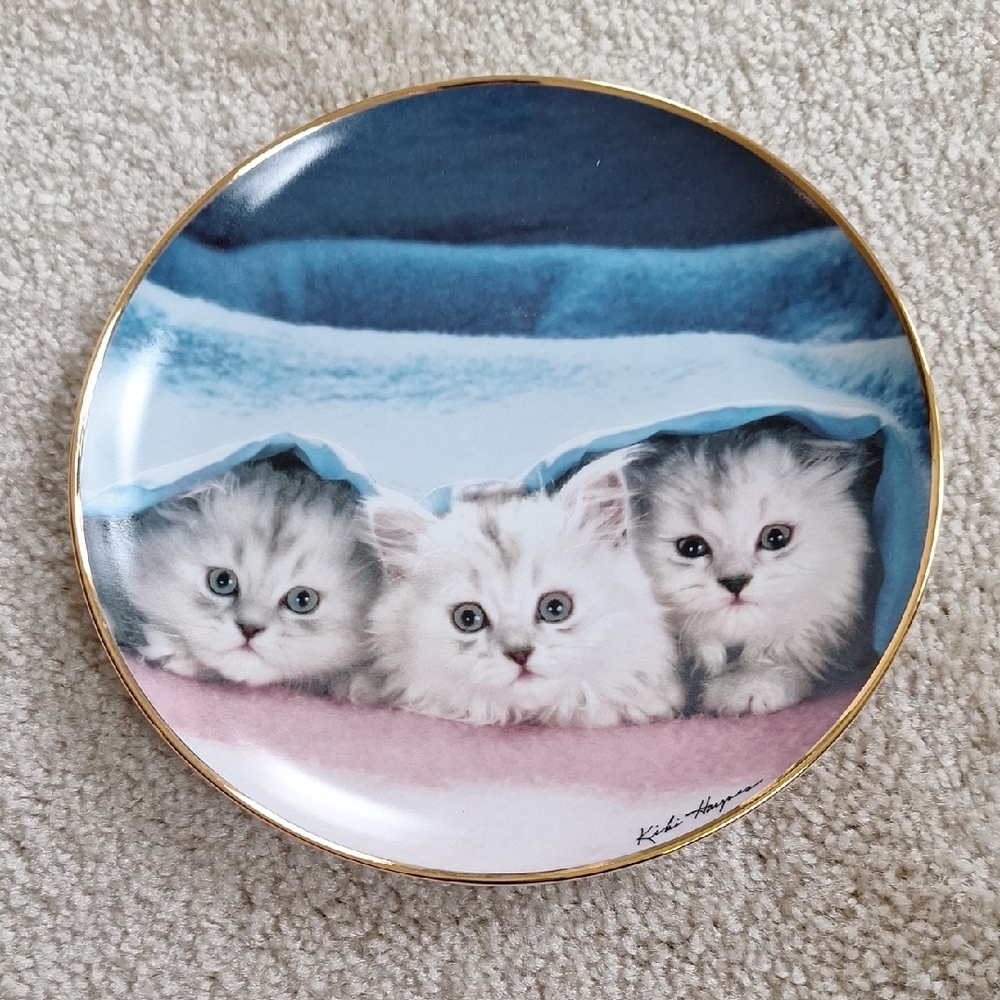 Franklin Mint Peek-a-boo Kitten Plate